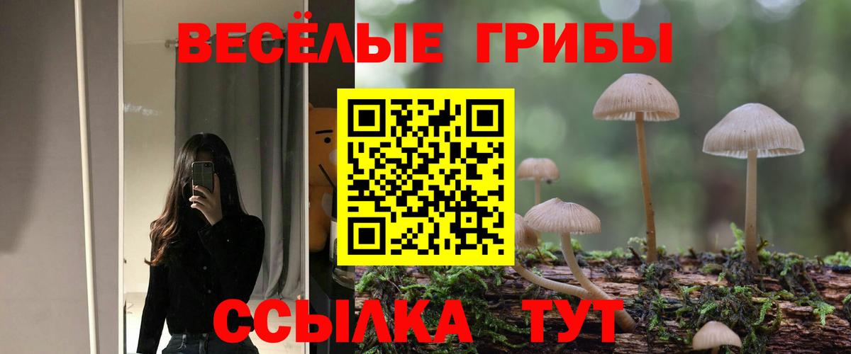 Жигулёвск  Галлюциногенные грибы мухоморы  Вход с VPN  Галлюциногенные грибы GOLDEN TEACHER 