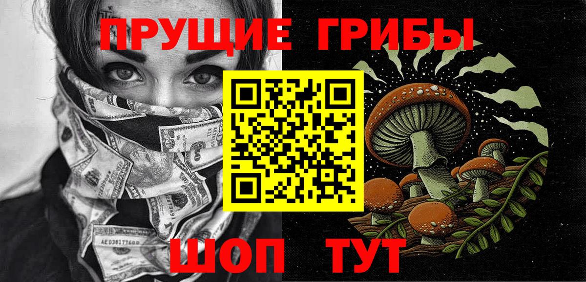 Псилоцибиновые грибы Psilocybe Жигулёвск